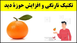 آموزش تندخوانی (36) : تکنیک نارنگی و افزایش حوزۀ دید در مطالعه