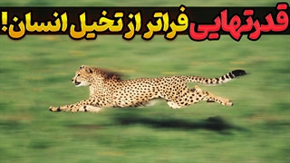 حیواناتی با توانایی‌های شگفت‌انگیز: قدرت‌هایی که ما انسان‌ها فقط می‌توانیم آرزو کنیم!