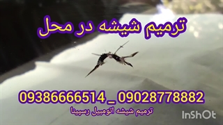ترمیم شیشه ماشین غرب تهران در محل 09386666514