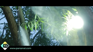 کدام مه پاش برای من مناسب است؟ درمان ریزش مو