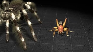 مستند پادشاهان درد فصل دوم قسمت ششم