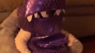 ::بچه هرو می‌خوام بخورم/کیا بیدارن؟!