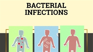 The Battle Against Bacteria: How to Keep Your Body Safe