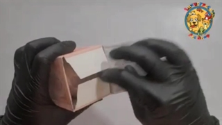 برس بخار پت طرح دلفین