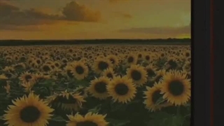 لیریک فیلم SUNSHINE برای اهنگ جدید Hate that you Love me منتشر شد!!(کپشن)