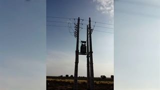 قیمت خرید فروش اجرت تعمیر نصب راه اندازی محاسبه اتوبوستر رفع ضعف ولتاژ شبکه برق 20KV 33KV بوستر ترانس ترانسفورماتور اتوماتیک