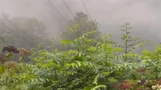 موزیک ویدیو راغب