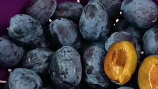 آلو بخارا (آلو خرمایی)