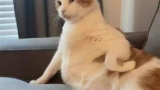 زیبایی میبینم:)