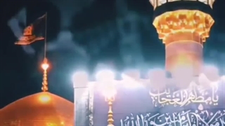 شما در دنیا ۳۰ مرتبه به زیارتم آمدی ...