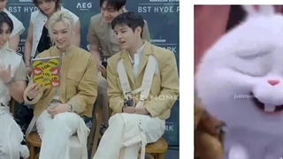 خیلی شبیهش بود