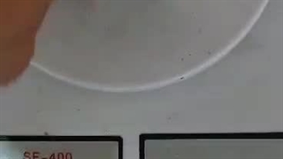 شرکت صادرات پای مرغ 09120681678 نحوه صادرات پای مرغ به چین