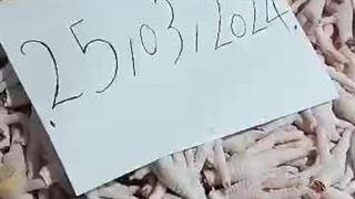 صادرات پای مرغ به بلاروس ، امارات 09120681678 عراق دبی