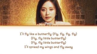 لیریک آهنگ Fly از جویی (TZUYU)