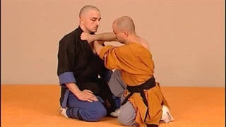 [Kungfu] [NoGi] فنون شائولین برای مبارزه در خاک!