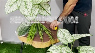 خرید بوته مصنوعی آلوکازیا ابلق 18 برگ | فروشگاه ملی