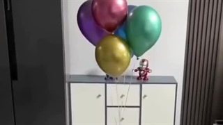 پروژه پرتاب گوربه به ماه