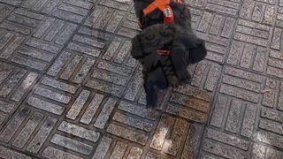 Panjool medical collar