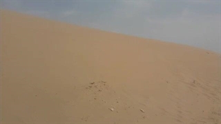 کویری در دل تبریز