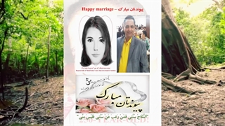 148B) فوتوکلیپ ویژه دکتر وحید تقی زاده با عنوان "سیمرغ بلورین عاشقانه" – 20 شهریور 1403 کامپوزیت ونیر