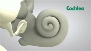 ما چگونه می‌شنویم