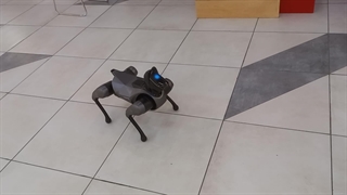 سگ کنترل از راه دور