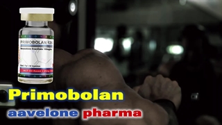 پریموبولان چیست؟