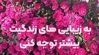 قانونی که باعث شفای روحم شد