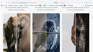 ویرایش عکس های حیات وحش