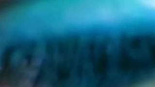 دوستش دارم♡♡مثل سگ:)