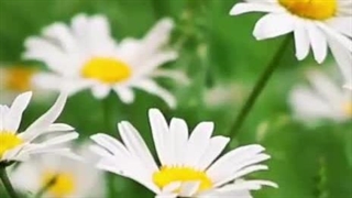 ^^ امام ما:منو دعا کنی منم شمارو دعا میکنم :)