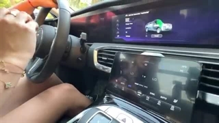 Chinese Luxury Electric SUV ｜ Hongqi E-HS9