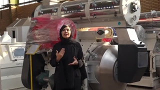 پرس پلت تسمه ای