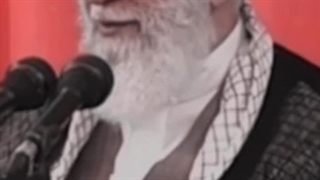 اینجا شراب، آنجا شراب