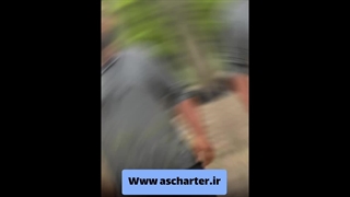 گیلان کجا بریم https://ascharter.ir