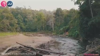 سفری به تایلند