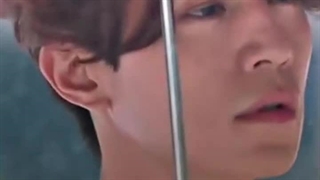 ریواچ روباه نه دم