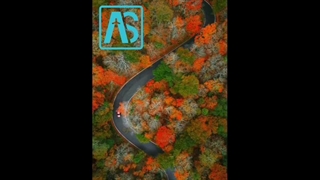 پادشاه فصل ها در کردستان . جهت دریافت بلیط روی لینک زیر کلیک کنید  https://ascharter.ir