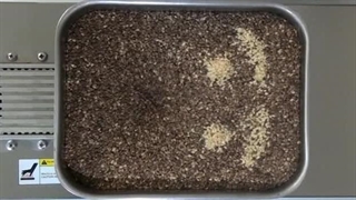 دستگاه روغن گیری خانگی