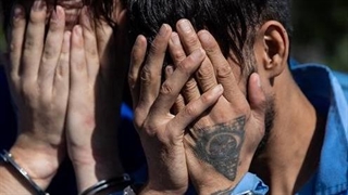 صادق پژمان: بسیاری از حوزه‌های فرهنگی هنوز تبدیل به صنعت نشده‌اند