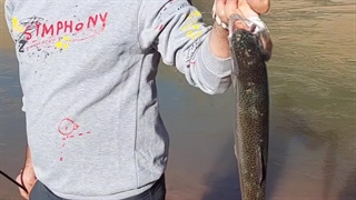 اولین تجربه ماهیگیری در اجرای تور گردشگری و آموزشی گروه کولی