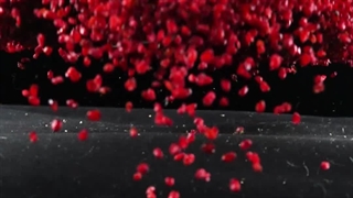 زرشک ناب کبیری