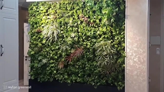 دیوارسبز طبیعی منزل - قیمت گرین وال 20 #گرین_وال #دیوارسبز