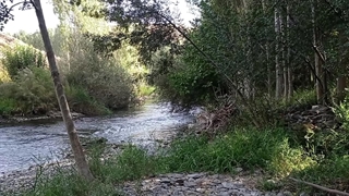 رود «اناربار» گلپایگان، پاییز ۱۴۰۳