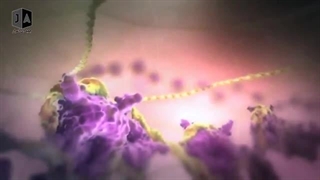 عدد اتمی 84 دروازه جهنم یا عنصر روز قیامت