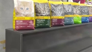 پت شاپ گلستان