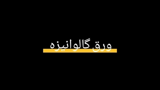 ورق گالوانیزه - پاژ پانل