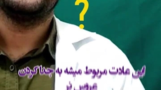 تغذیه دستی عروس هلندی / کلینیک دامپزشکی عروس هلندی