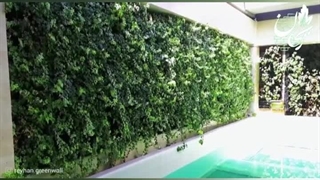 اجرای دیوار سبز طبیعی - گرین وال طبیعی استخر 21 دیوارسبز بیرونی