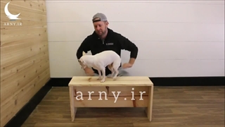 با یک تخته یک نیمکت بساز